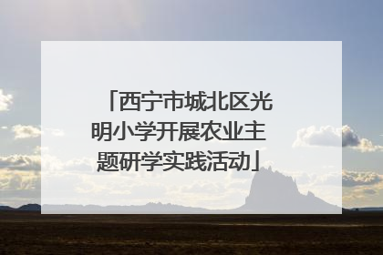 西宁市城北区光明小学开展农业主题研学实践活动