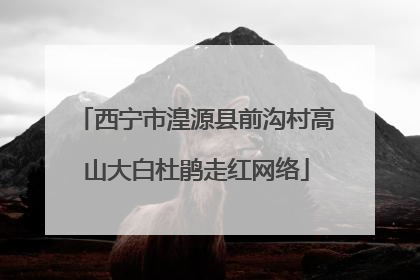 西宁市湟源县前沟村高山大白杜鹃走红网络