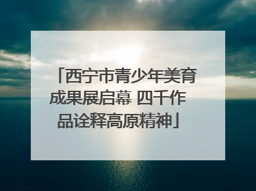西宁市青少年美育成果展启幕 四千作品诠释高原精神