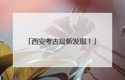 西安考古最新发现！