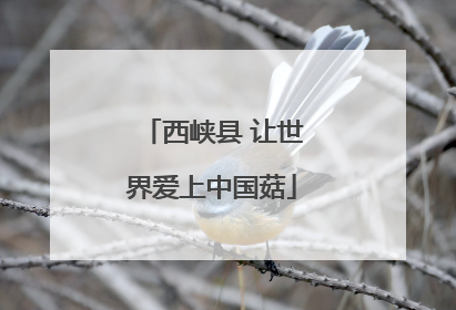 西峡县 让世界爱上中国菇