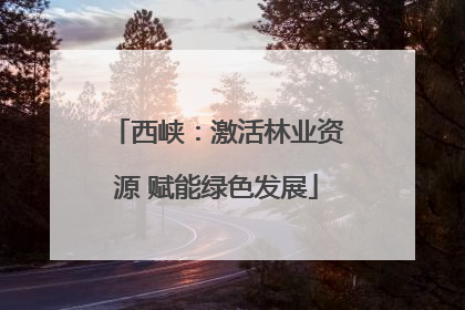 西峡：激活林业资源 赋能绿色发展
