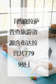 西藏拉萨普查旅游资源含布达拉宫共7799处