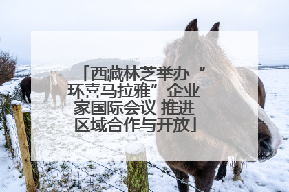 西藏林芝举办“环喜马拉雅”企业家国际会议 推进区域合作与开放