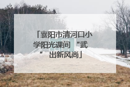 襄阳市清河口小学阳光课间 “武” 出新风尚