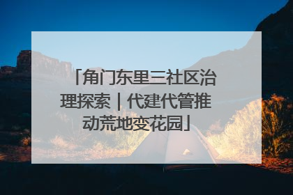 角门东里三社区治理探索｜代建代管推动荒地变花园