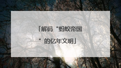 解码“蚂蚁帝国”的亿年文明