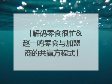 解码零食很忙&赵一鸣零食与加盟商的共赢方程式