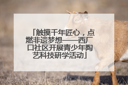 触摸千年匠心，点燃非遗梦想——西厂口社区开展青少年陶艺科技研学活动