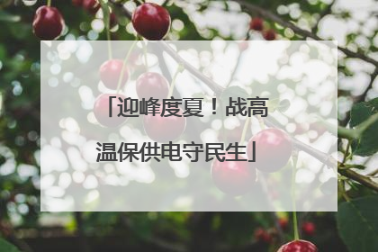 迎峰度夏！战高温保供电守民生