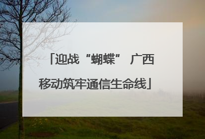 迎战“蝴蝶” 广西移动筑牢通信生命线
