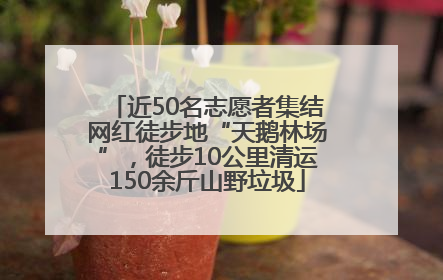 近50名志愿者集结网红徒步地“天鹅林场”，徒步10公里清运150余斤山野垃圾
