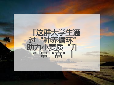 这群大学生通过“种养循环”助力小麦质“升”量“高”