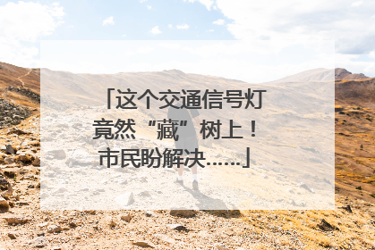 这个交通信号灯竟然“藏”树上！市民盼解决……