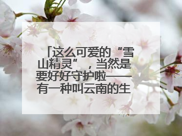 这么可爱的“雪山精灵”，当然是要好好守护啦——有一种叫云南的生活之365天
