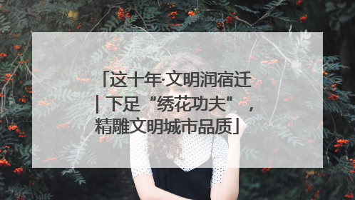 这十年·文明润宿迁｜下足“绣花功夫”，精雕文明城市品质