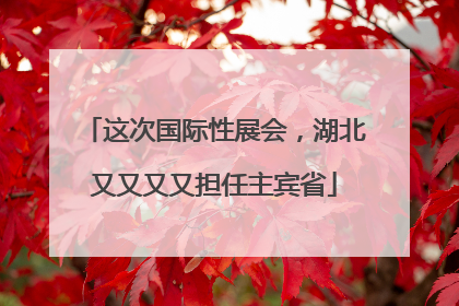 这次国际性展会，湖北又又又又担任主宾省