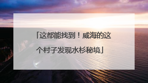这都能找到！威海的这个村子发现水杉秘境