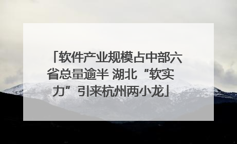 软件产业规模占中部六省总量逾半 湖北“软实力”引来杭州两小龙