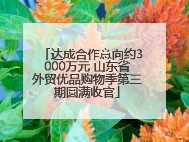 达成合作意向约3000万元 山东省外贸优品购物季第三期圆满收官
