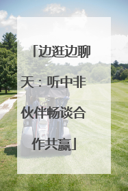 边逛边聊天：听中非伙伴畅谈合作共赢