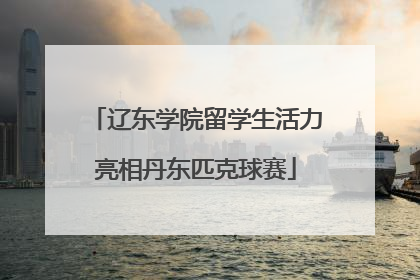 辽东学院留学生活力亮相丹东匹克球赛