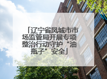 辽宁省凤城市市场监管局开展专项整治行动守护“油瓶子”安全