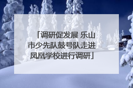 调研促发展 乐山市少先队鼓号队走进凤凰学校进行调研