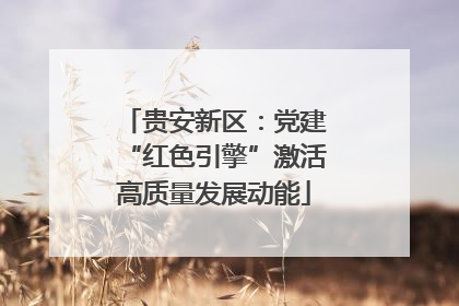 贵安新区：党建“红色引擎”激活高质量发展动能