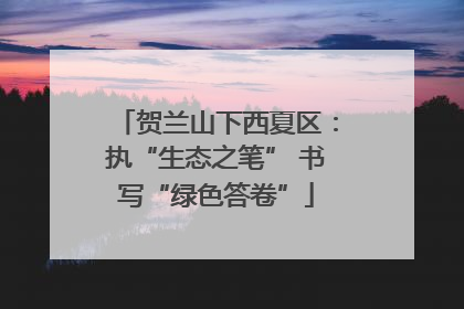 贺兰山下西夏区：执“生态之笔” 书写“绿色答卷”
