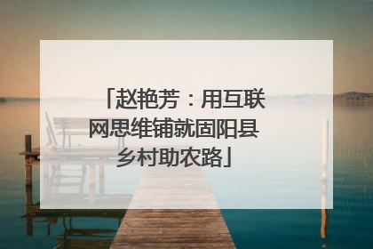 赵艳芳：用互联网思维铺就固阳县乡村助农路