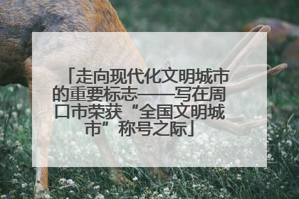 走向现代化文明城市的重要标志——写在周口市荣获“全国文明城市”称号之际