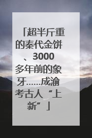 超半斤重的秦代金饼、3000多年前的象牙……成渝考古人“上新”