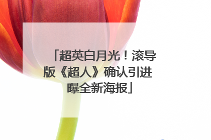 超英白月光！滚导版《超人》确认引进 曝全新海报