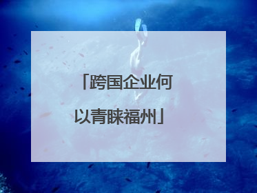 跨国企业何以青睐福州