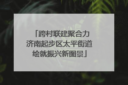 跨村联建聚合力 济南起步区太平街道绘就振兴新图景