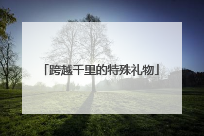 跨越千里的特殊礼物