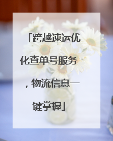 跨越速运优化查单号服务，物流信息一键掌握