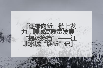 逐绿向新、链上发力，聊城高质量发展“提级换挡”——江北水城“焕新”记