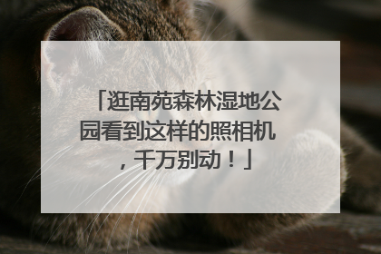 逛南苑森林湿地公园看到这样的照相机，千万别动！