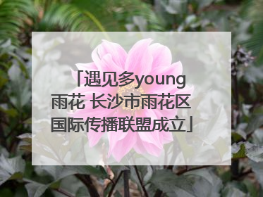 遇见多young雨花 长沙市雨花区国际传播联盟成立
