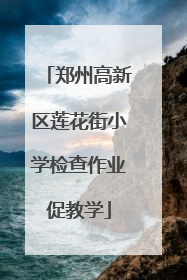 郑州高新区莲花街小学检查作业促教学