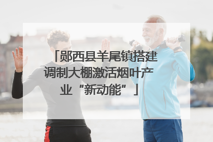 郧西县羊尾镇搭建调制大棚激活烟叶产业“新动能”