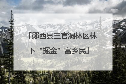 郧西县三官洞林区林下“掘金”富乡民