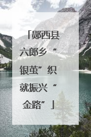 郧西县六郎乡“银茧”织就振兴“金路”