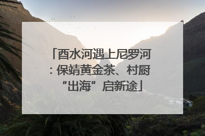 酉水河遇上尼罗河：保靖黄金茶、村厨“出海”启新途