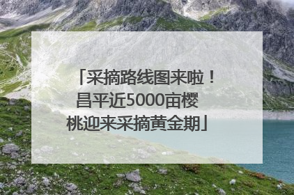 采摘路线图来啦！昌平近5000亩樱桃迎来采摘黄金期