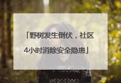 野树发生倒伏，社区4小时消除安全隐患