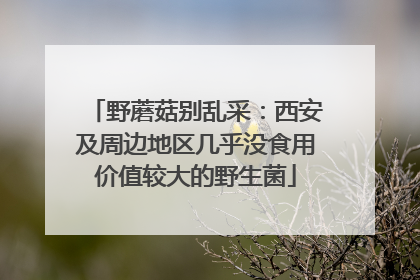 野蘑菇别乱采：西安及周边地区几乎没食用价值较大的野生菌