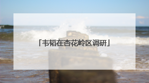 韦韬在杏花岭区调研